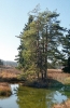 Ekoakce-31.jpg