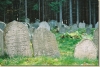 F1000009.JPG