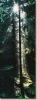 F1000018.JPG