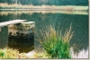 F1010017.JPG