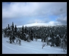 391_Karlovice_2010.JPG