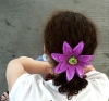 P1010054.jpg