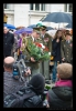 DSC_5271.jpg
