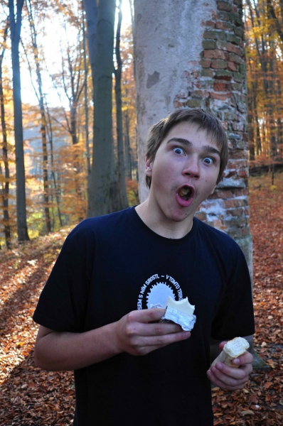 Klikněte pro zobrazení původního (velkého) obrázku