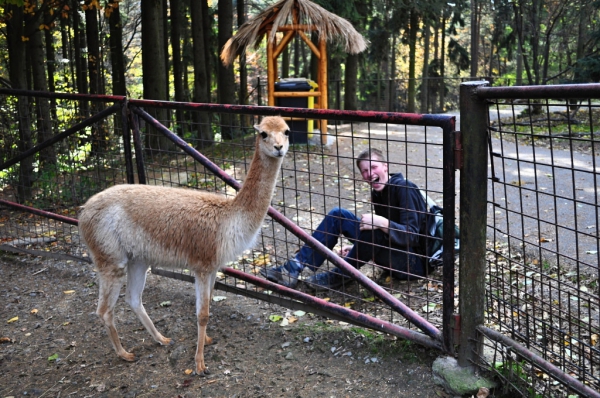 Klikněte pro zobrazení původního (velkého) obrázku