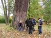 2010-10-28_olomouc_026.jpg