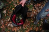 2010-10-28_olomouc_037.jpg