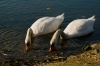 2010-10-29_olomouc_083.jpg