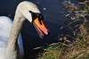 2010-10-29_olomouc_086.jpg
