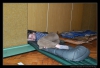 tycovina2010-047.JPG