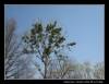 049-velikonoce09.jpg