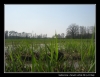 050-velikonoce09.jpg