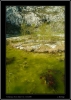 265-velikonoce09.jpg