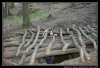 345-velikonoce09.jpg
