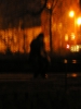 2010-03-20-21_VZSSST75-lyra_3.jpg