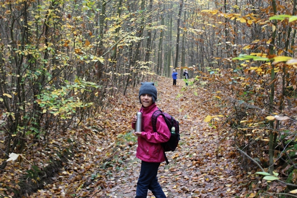 Klikněte pro zobrazení původního (velkého) obrázku