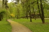 IMGP9065.jpg