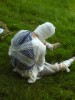 dsc00253.jpg