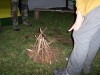 img00025.jpg