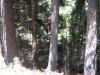 img00035.jpg