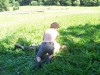 img00042.jpg