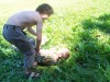 img00043.jpg