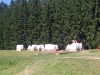 img00047.jpg