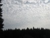 skauttabor205.jpg