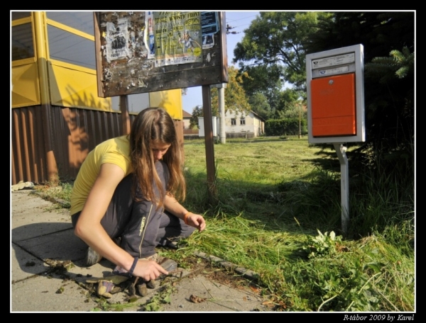 Klikněte pro zobrazení původního (velkého) obrázku