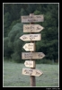 079_r-tabor09.jpg