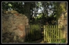 153_r-tabor09.jpg