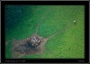233_r-tabor09.jpg