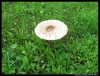 stavecka09_erika_048.JPG