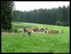stavecka09_erika_065.JPG