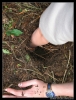 stavecka09_erika_073.JPG
