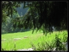 stavecka09_erika_086.JPG