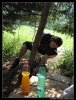 stavecka09_erika_087.JPG
