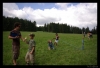 071_IMGP0113.JPG