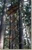 tabor_2003_0013.jpg