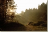 tabor_2003_0040.jpg