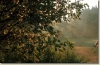 tabor_2003_0041.jpg