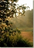 tabor_2003_0042.jpg