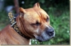 tabor_2003_0119.jpg
