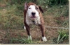 tabor_2003_0121.jpg