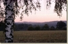 tabor_2003_0134.jpg