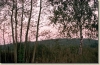 tabor_2003_0136.jpg