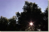 tabor_2003_0137.jpg