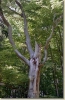tabor_2003_0139.jpg