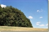 tabor_2003_0140.jpg