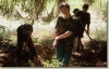 tabor_2003_0141.jpg